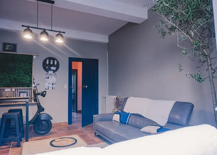 Grande Maison Renovee, 4 Chambres, Commerces A Pied, Exterieur, 8 Personnes Monein